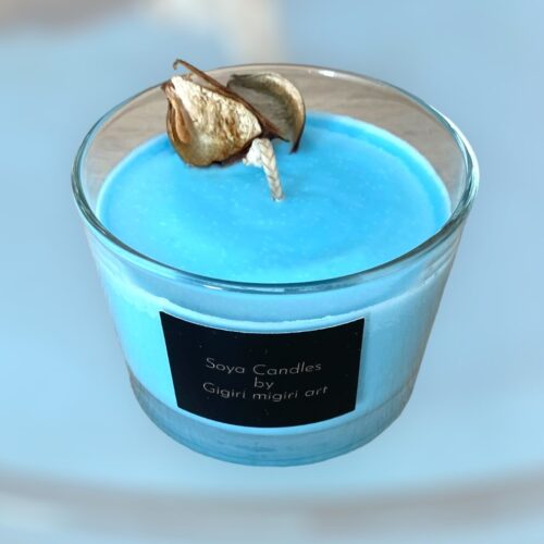 Αρωματικό κερί σόγιας «le male» αντρικό